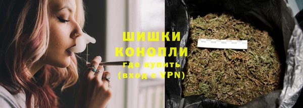 гидра Лагань