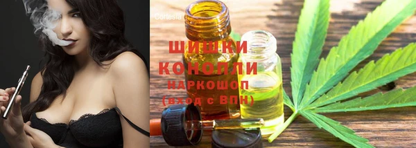 стафф Лабытнанги