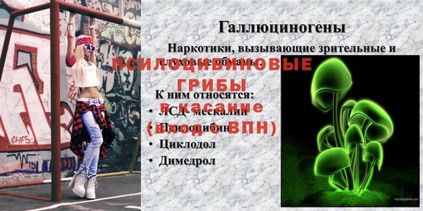 стаф Ладушкин