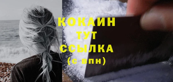стаф Ладушкин