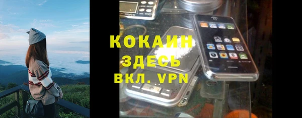 гидра Лагань