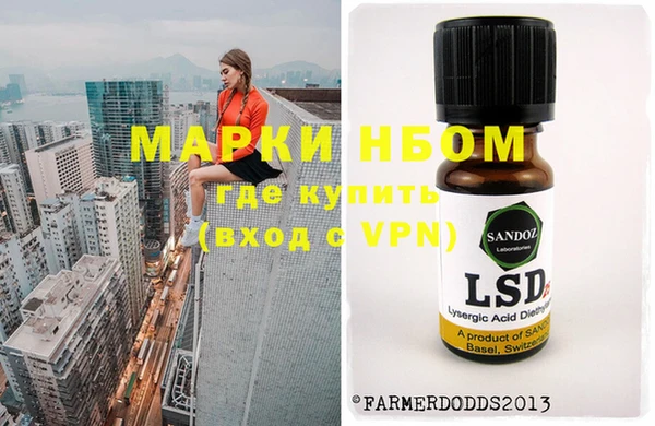 стафф Лабытнанги