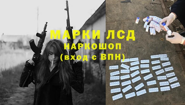 стаф Ладушкин