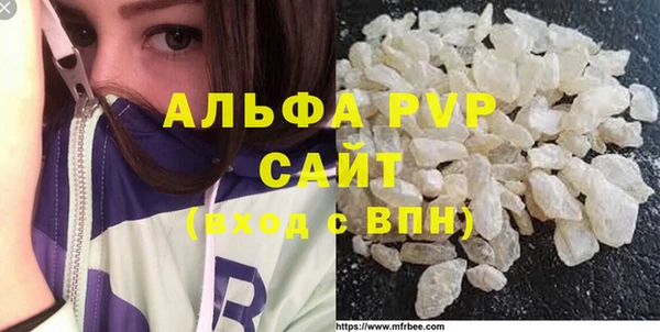 стаф Ладушкин