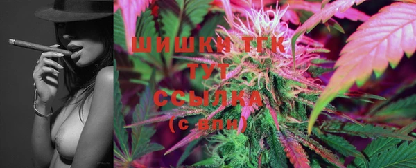 стафф Лабытнанги
